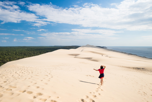dune_of_pilat_medium.jpg