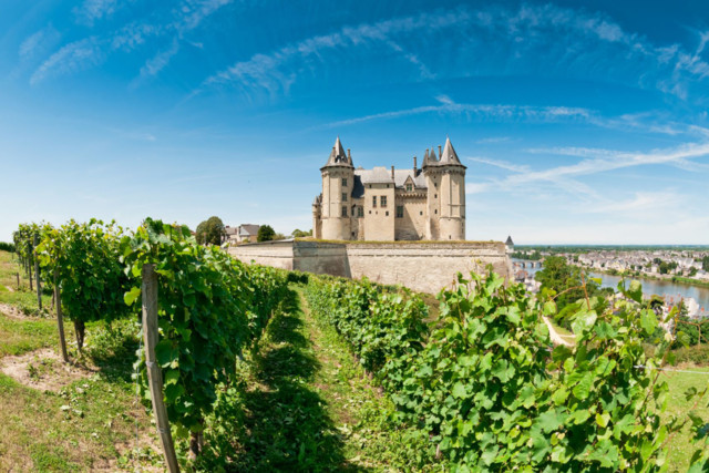 Vineyards_medium.jpg