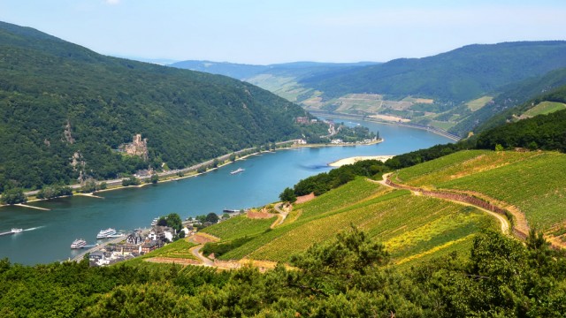 River Rhine Cruise 2024/2025